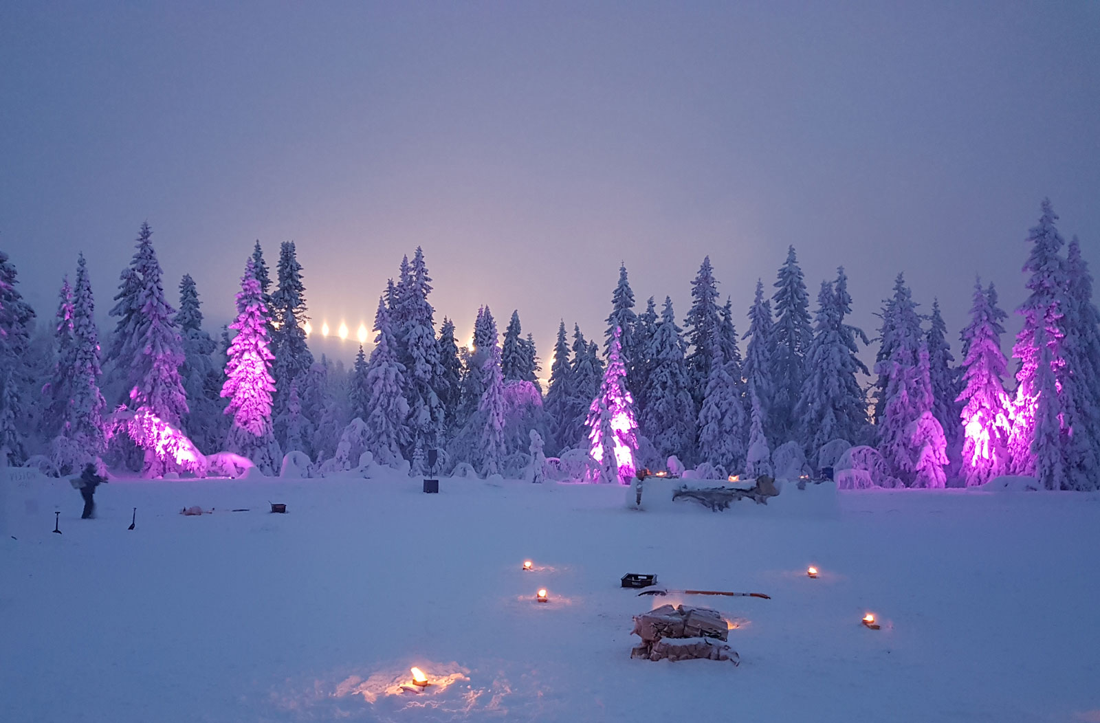 Snöig skog upplyst i rosa och lila ljus med tomtebloss